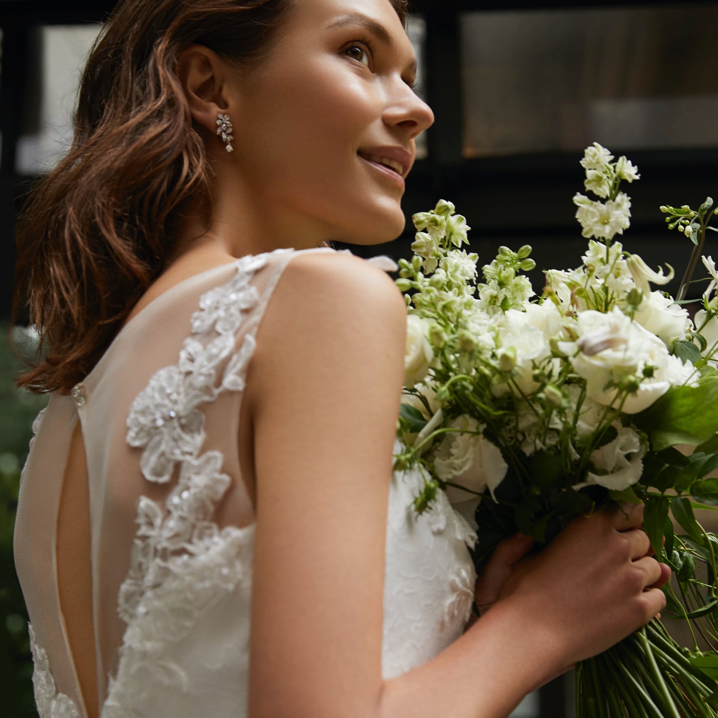 BRIDE : ROSA SERICEA画像